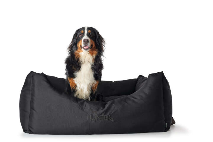 HUNTER Hundesofa Gent